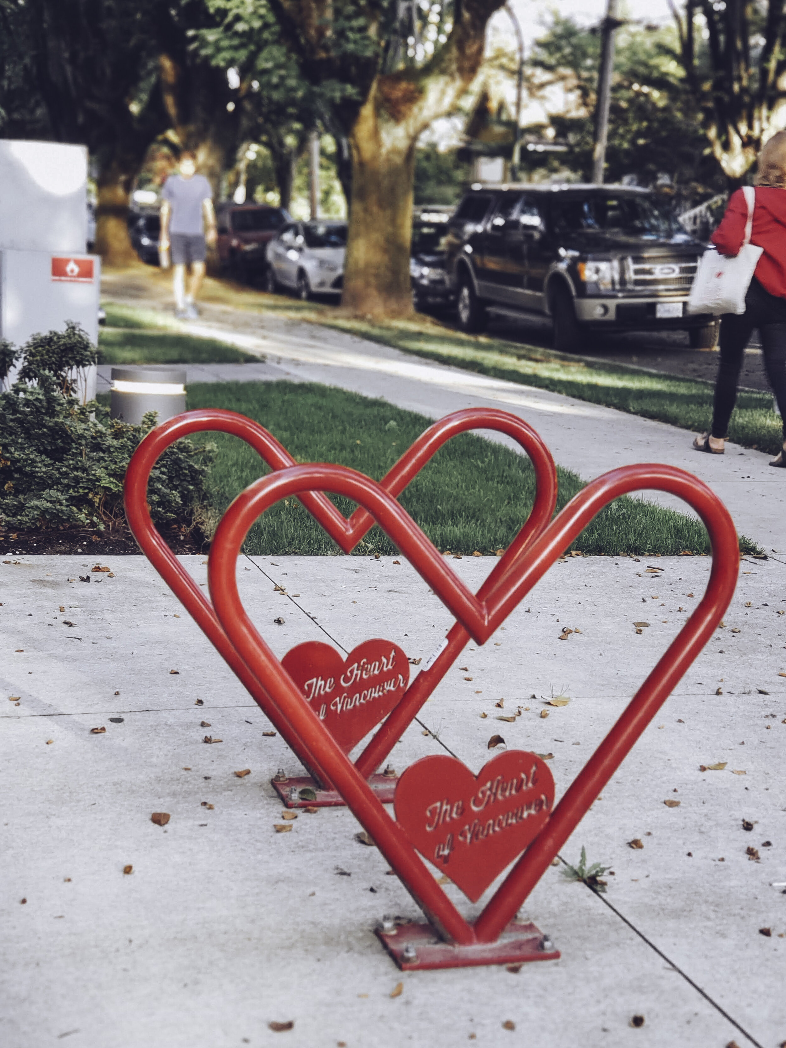 Two heart bike locks with 