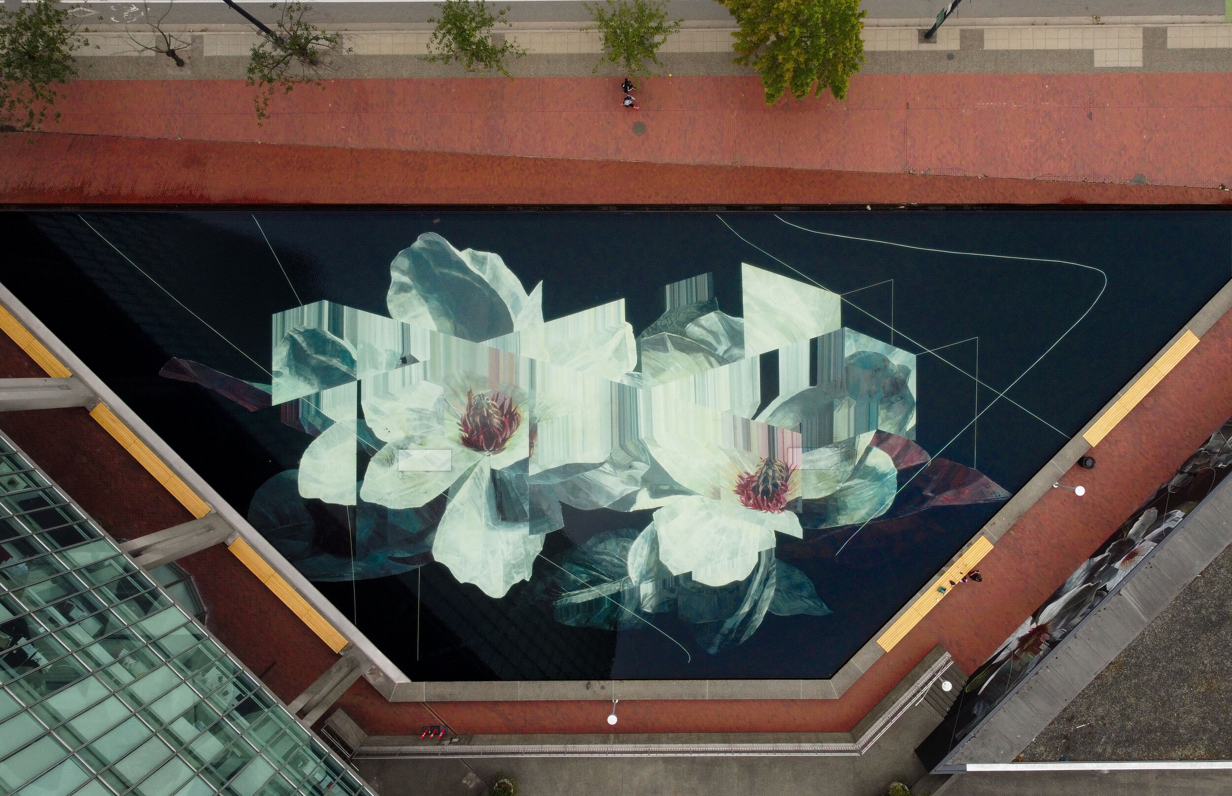 Bird's eye view of ground mural of distorted flowers by local artist Drew Young