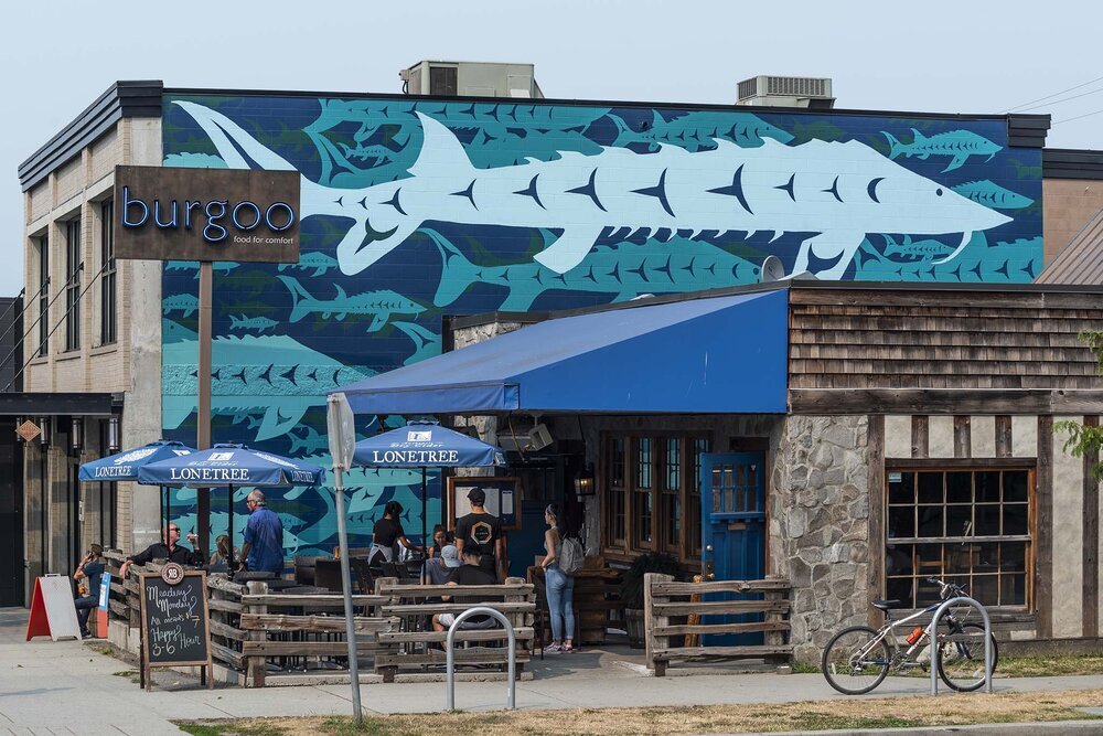 Local Artist Ronnie Dean Harris's art mural in Mount Pleasant of blue graphic sturgeons for Vancouver Mural Festival.jpg