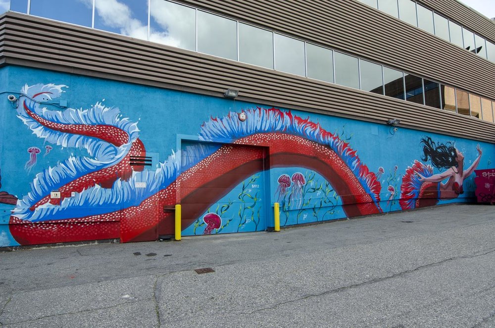 Lani Imre, Bronwyn Schuster, Amanda Smart &amp; Tia Rambaran 