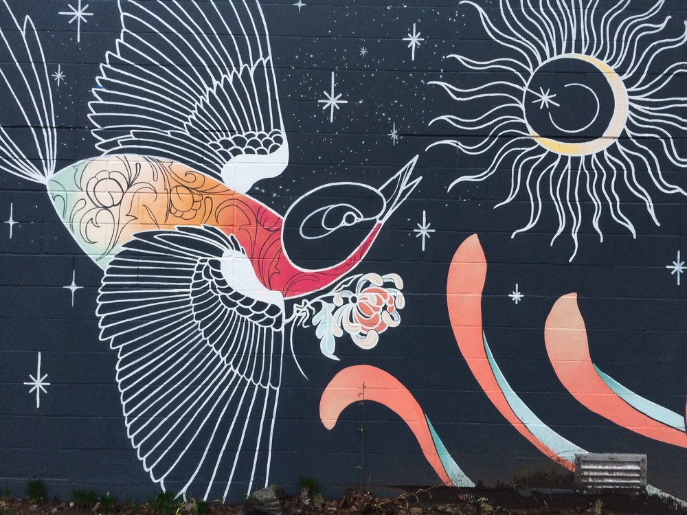 Ciara Havishya &amp; Zox